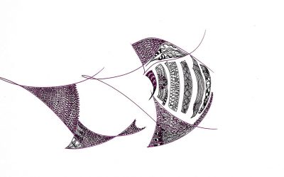 Pterois | Maravillas Del Oceano