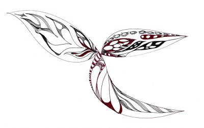 Estrella De Mar | Maravillas Del Oceano