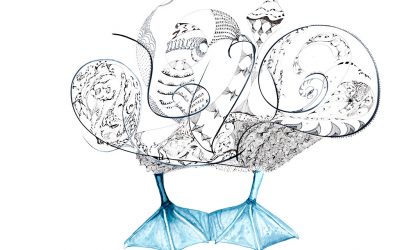 Pose | Naturaleza Encantada