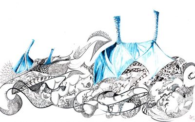 Aventura | Naturaleza Encantada